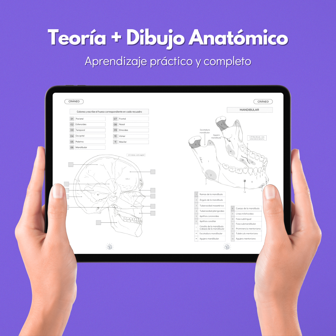 Kit Atlas