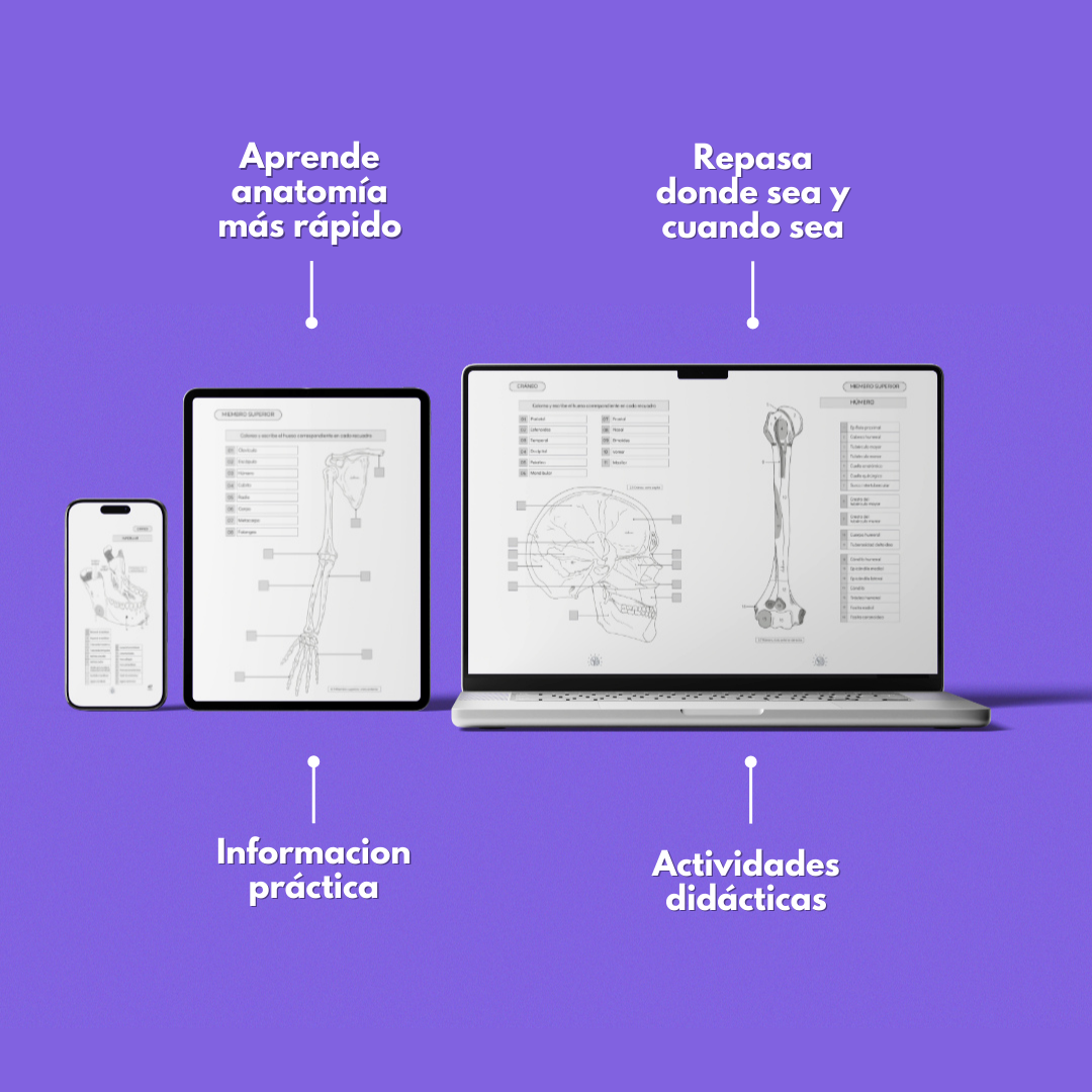Kit Atlas