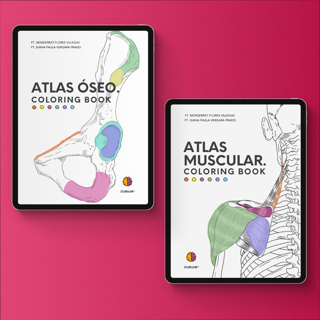 Kit de Anatomía