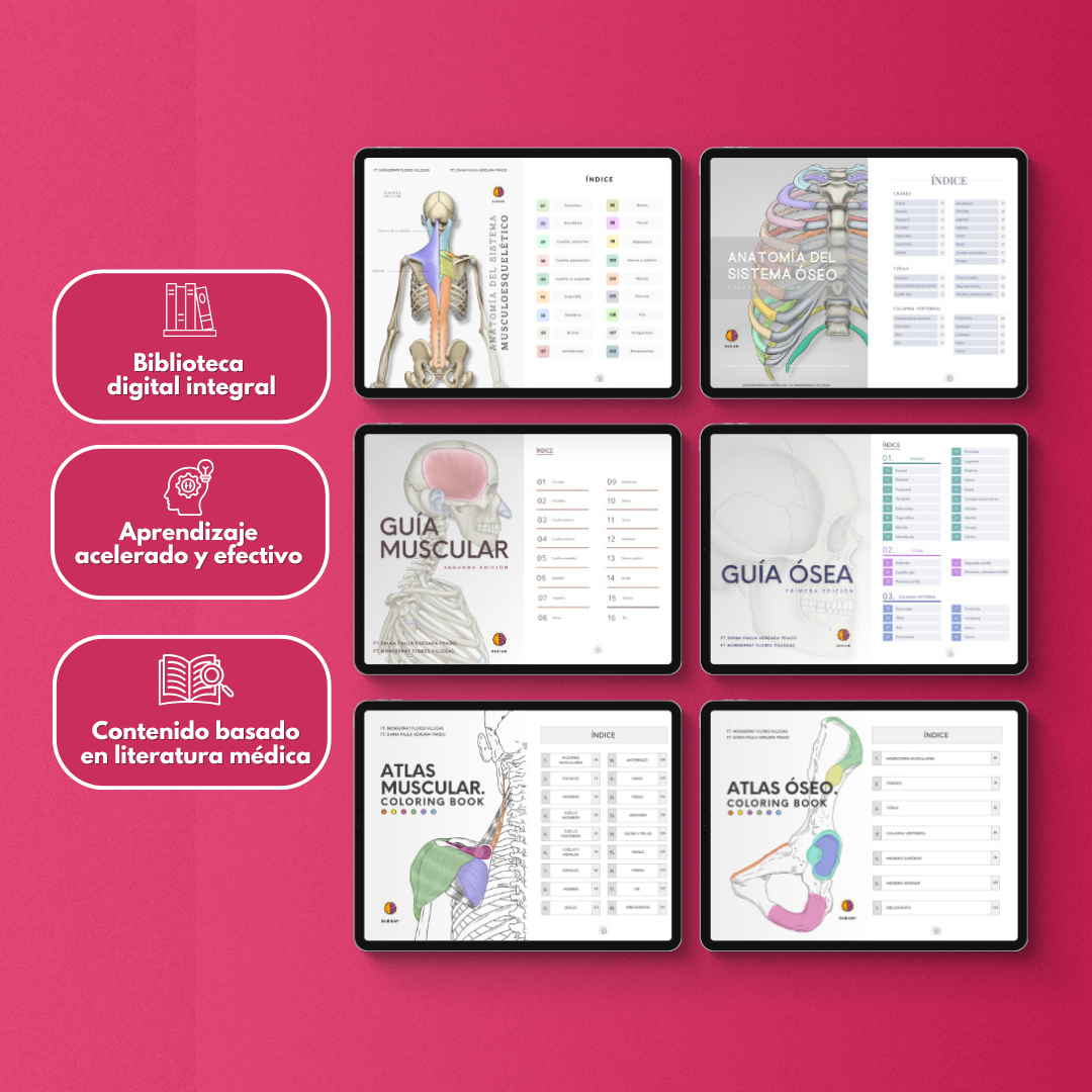 Kit de Anatomía