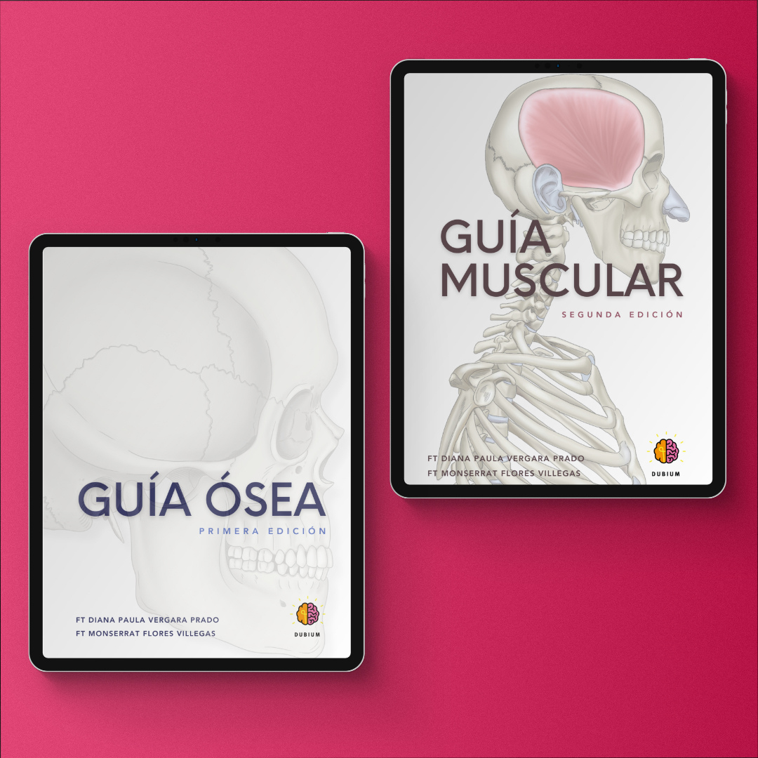 Kit de Anatomía