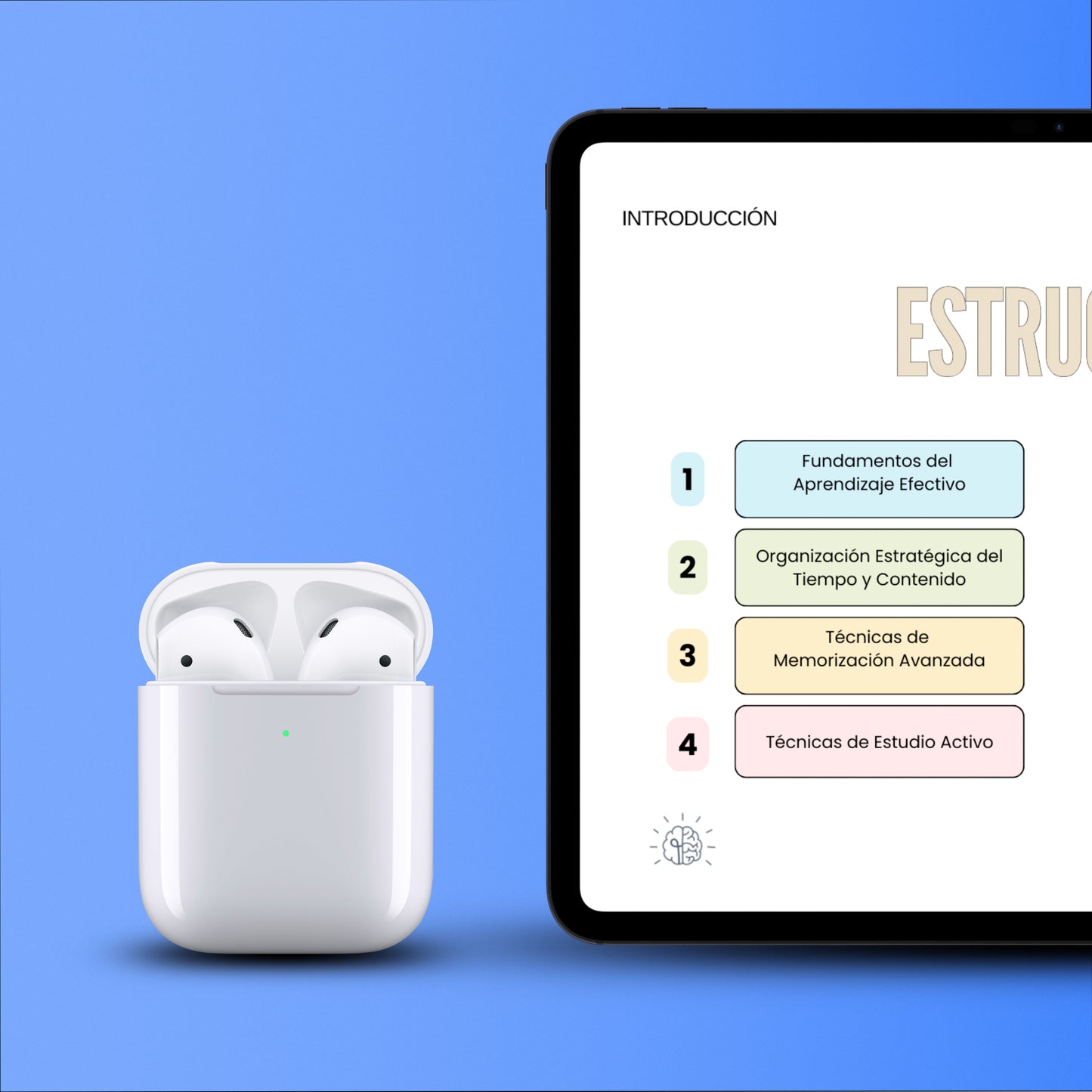 Estrategias de Estudio en Anatomía