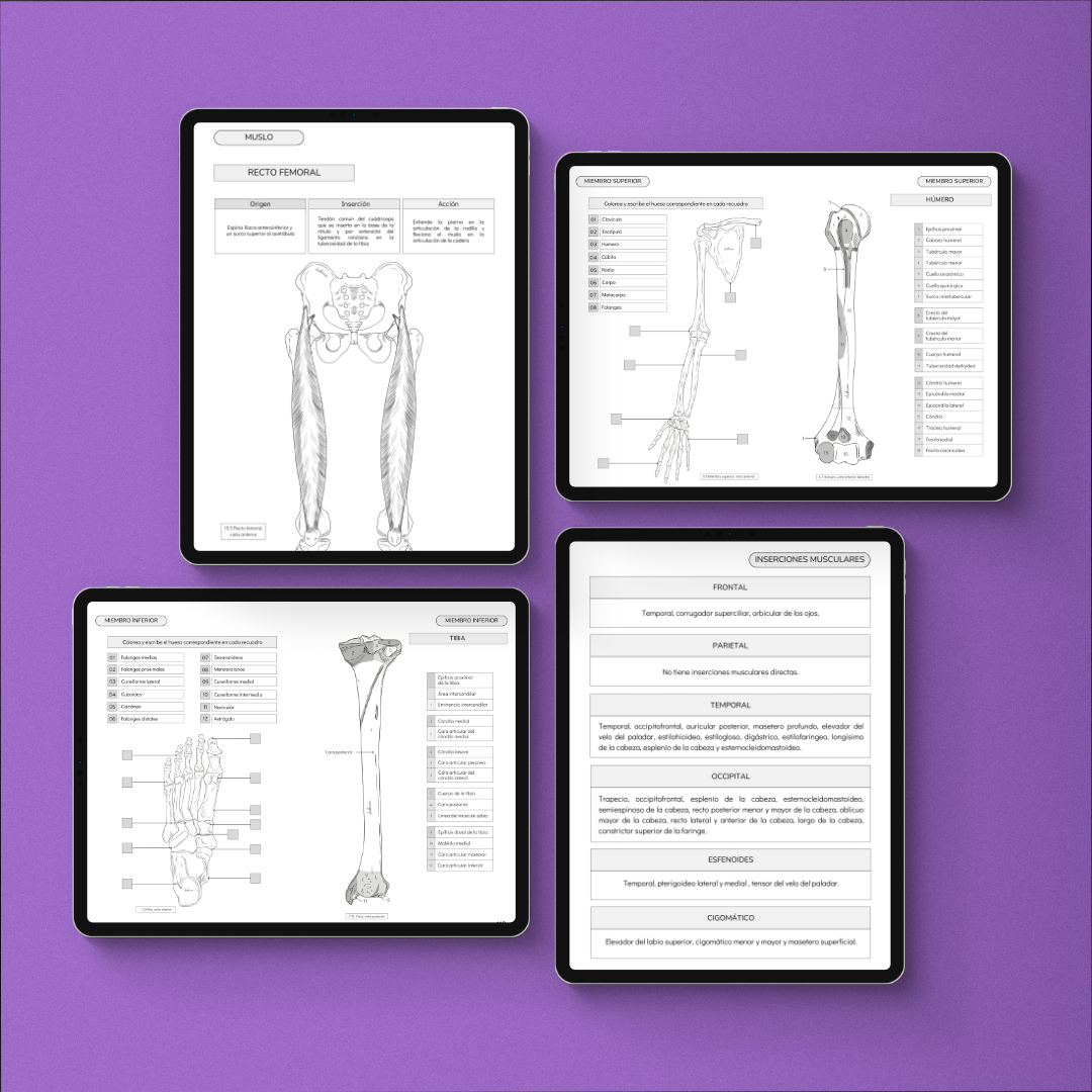 Atlas Óseo Coloring Book