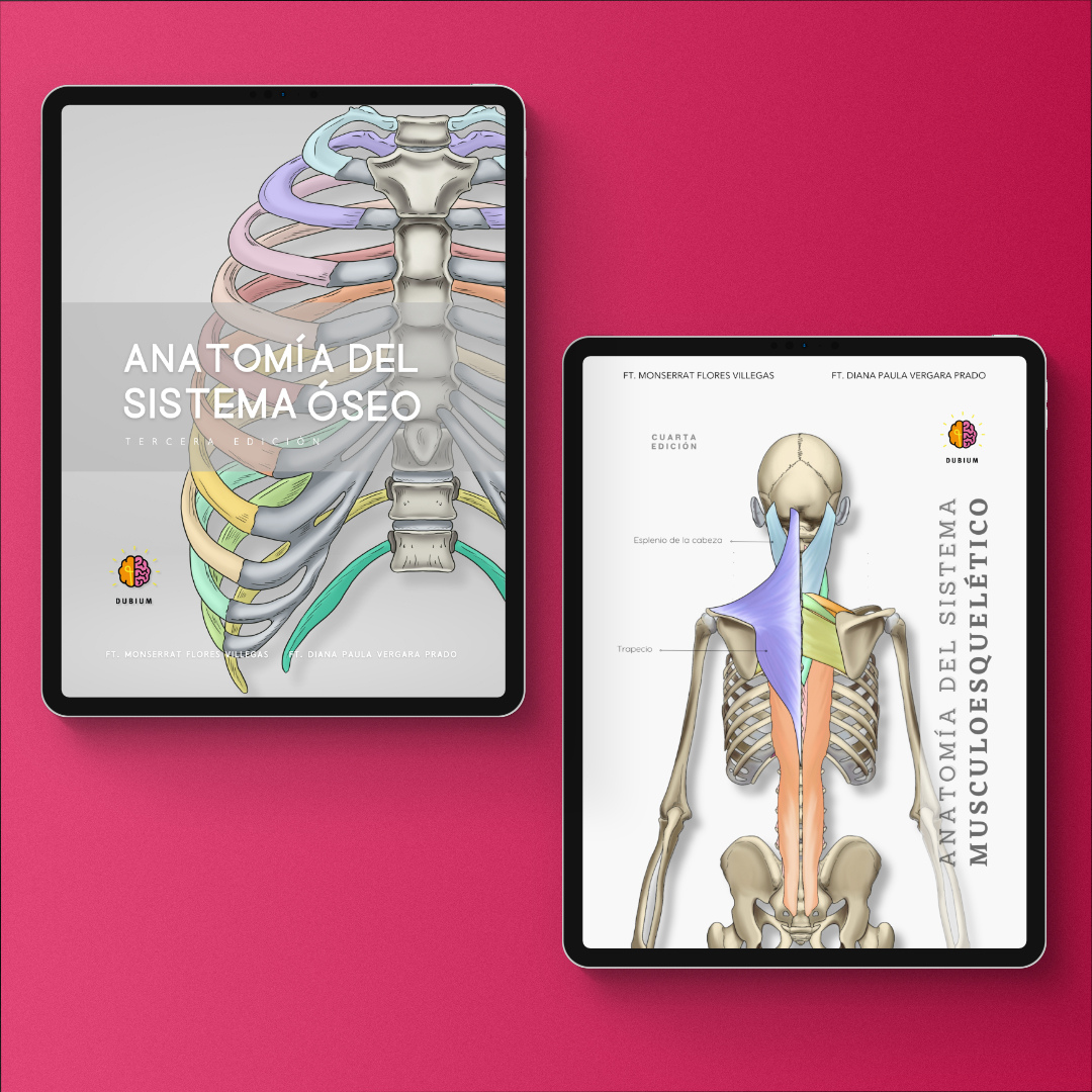 Kit de Anatomía