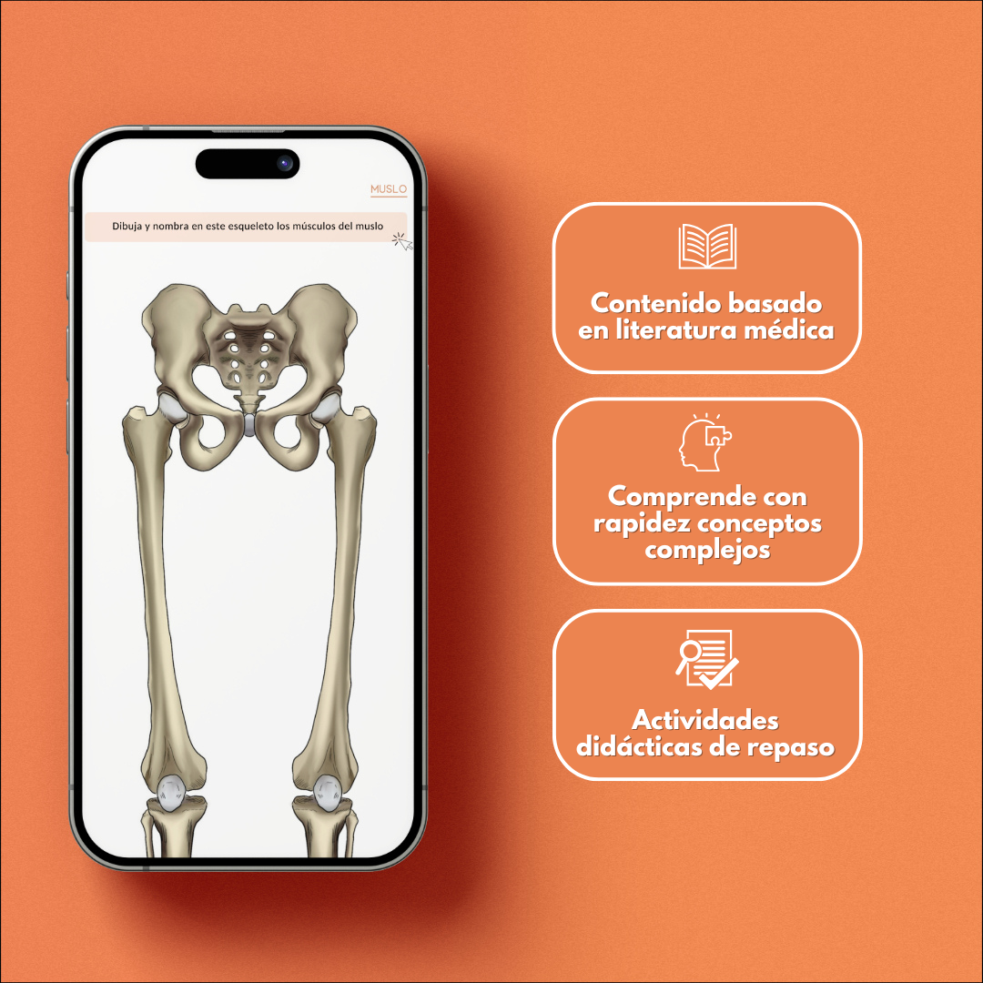 Anatomía del Sistema Musculoesquelético