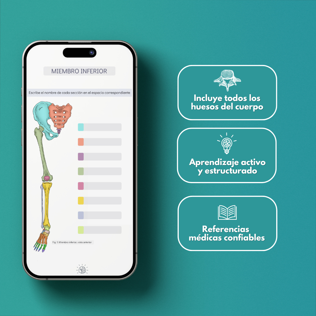 Anatomía del Sistema Óseo