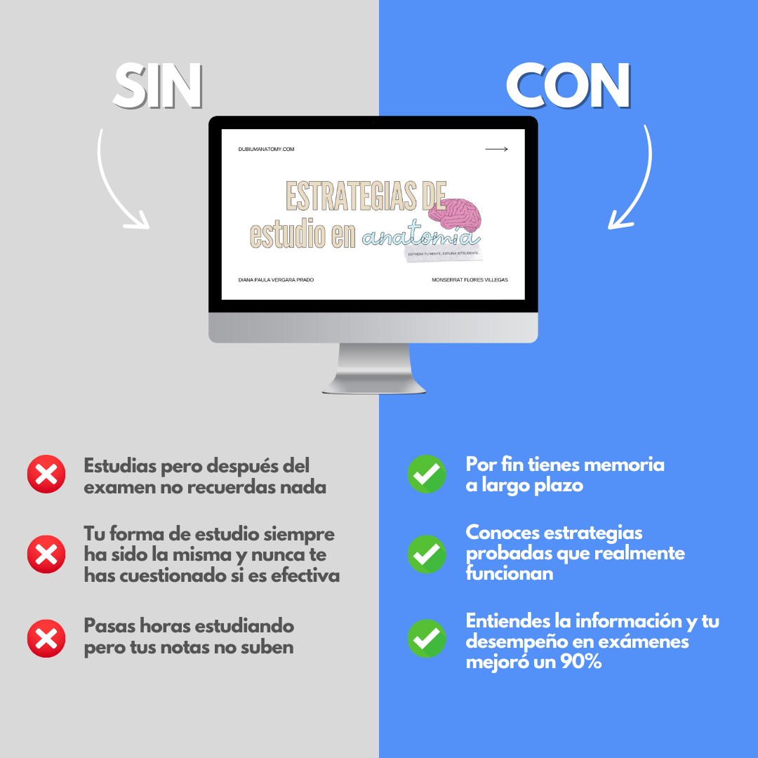 Estrategias de Estudio en Anatomía