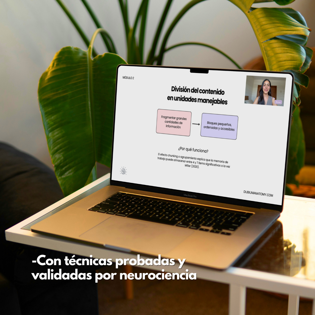Estrategias de Estudio en Anatomía