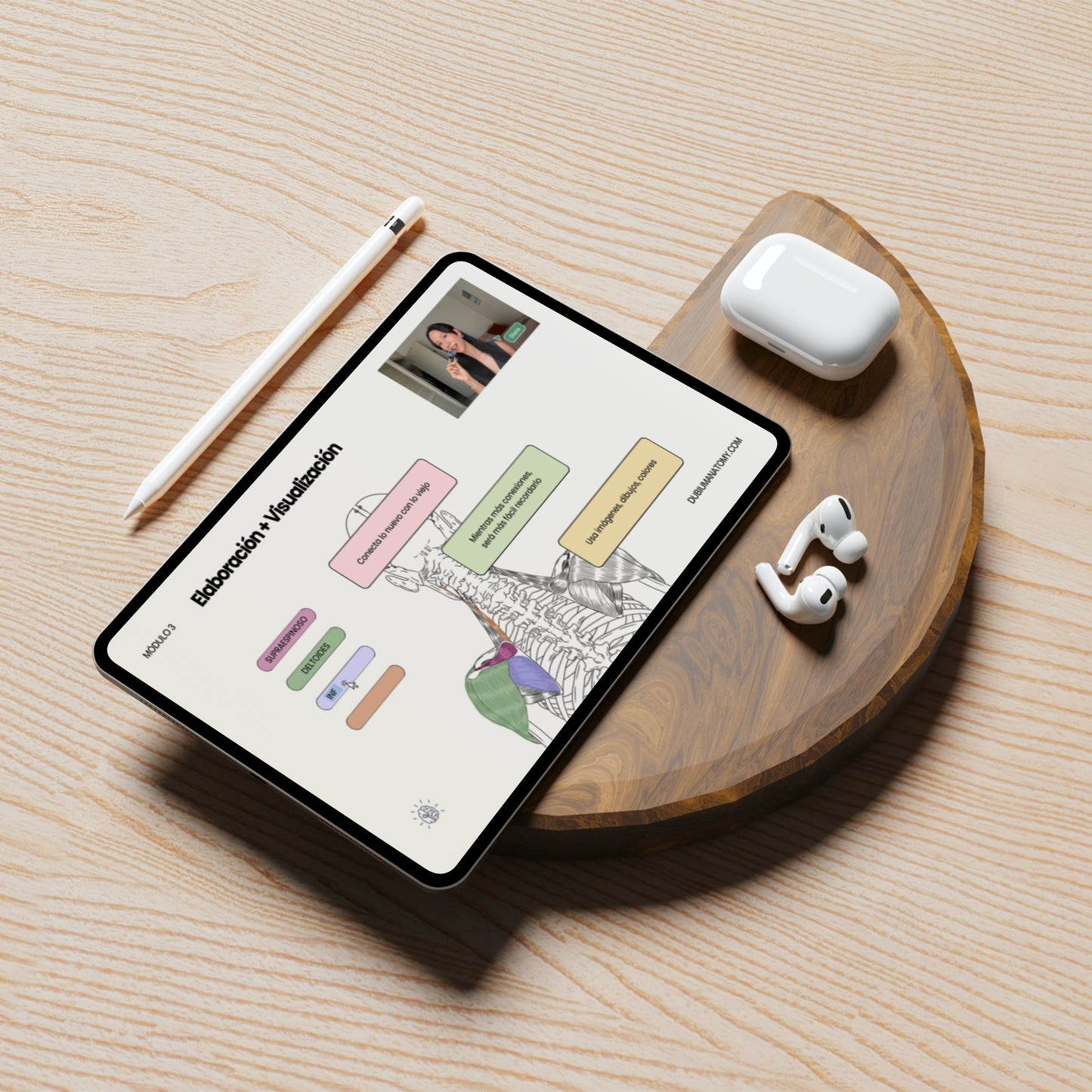 Estrategias de Estudio en Anatomía