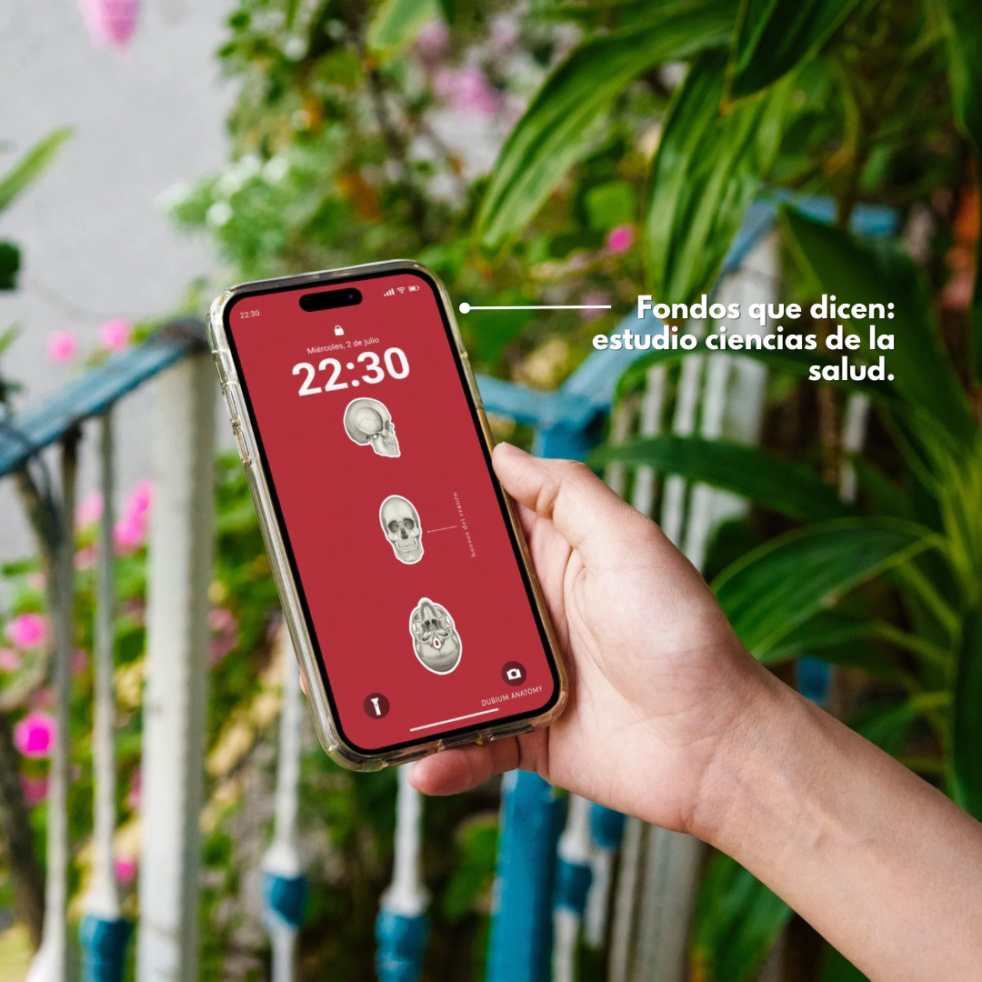 Anatomy Wallpaper Pack