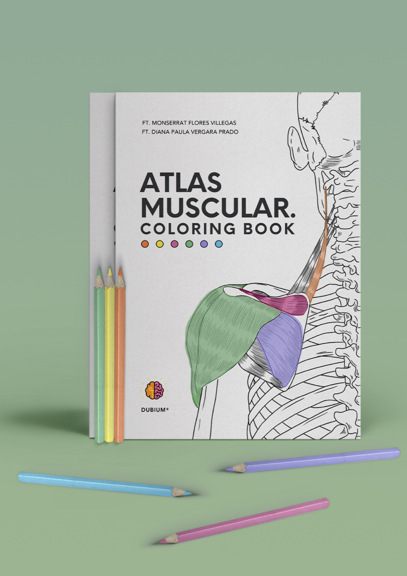 Atlas Muscular Coloring Book Pdf Español