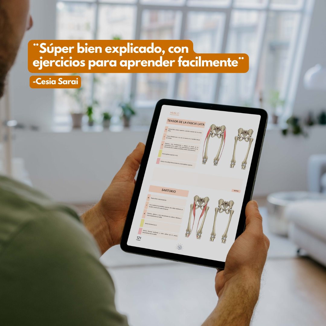 Anatomía del Sistema Musculoesquelético