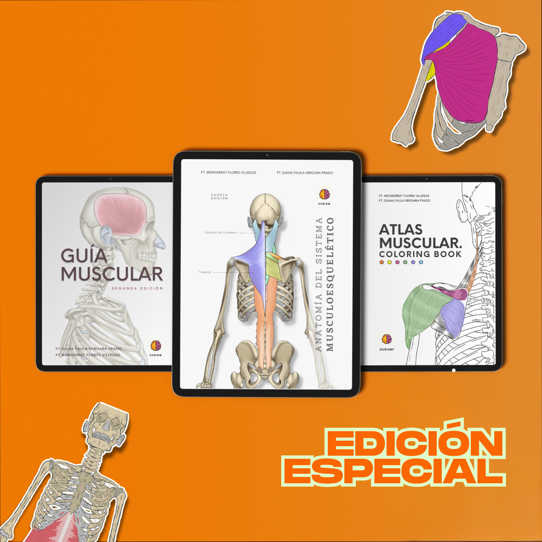Kit Experto en Músculos