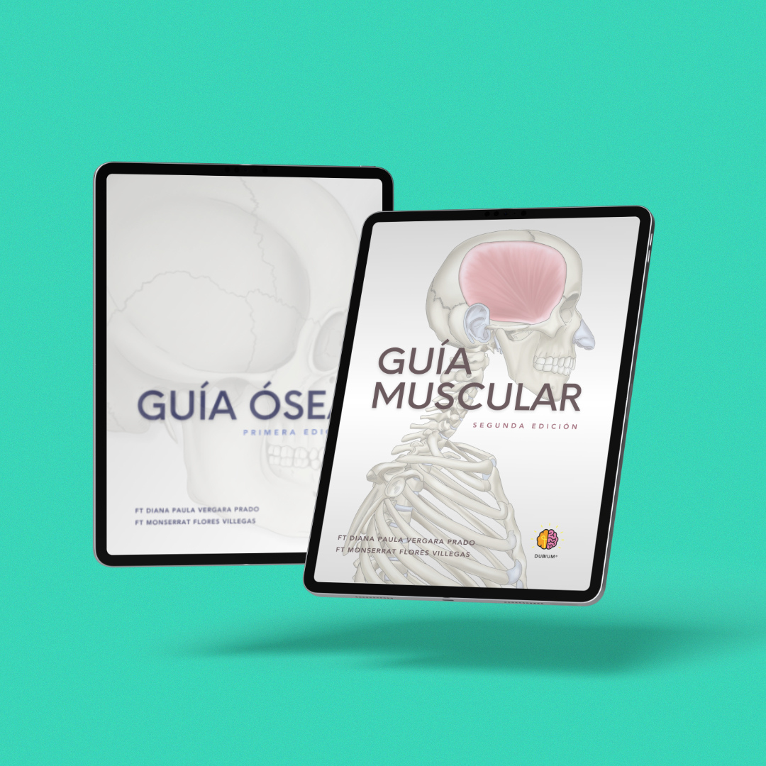 Anatomy Dúo