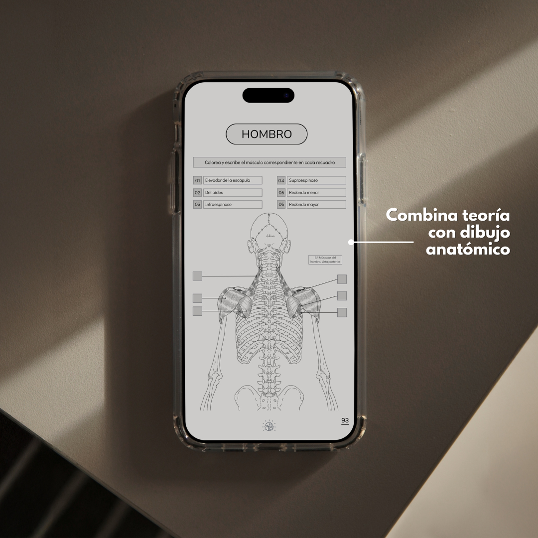 Kit Experto en Músculos