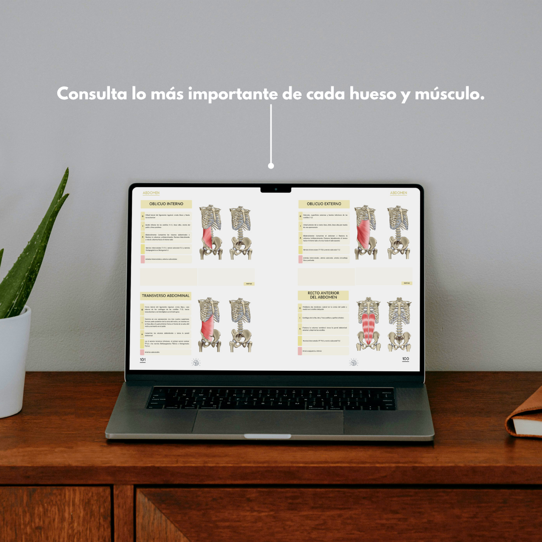 Kit Experto en Músculos