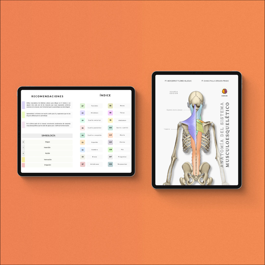 Anatomía del Sistema Musculoesquelético