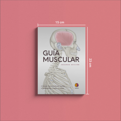 Guía Muscular