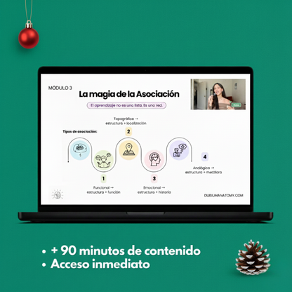 Estrategias de Estudio en Anatomía