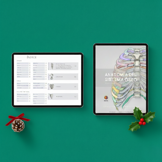 Anatomía del Sistema Óseo