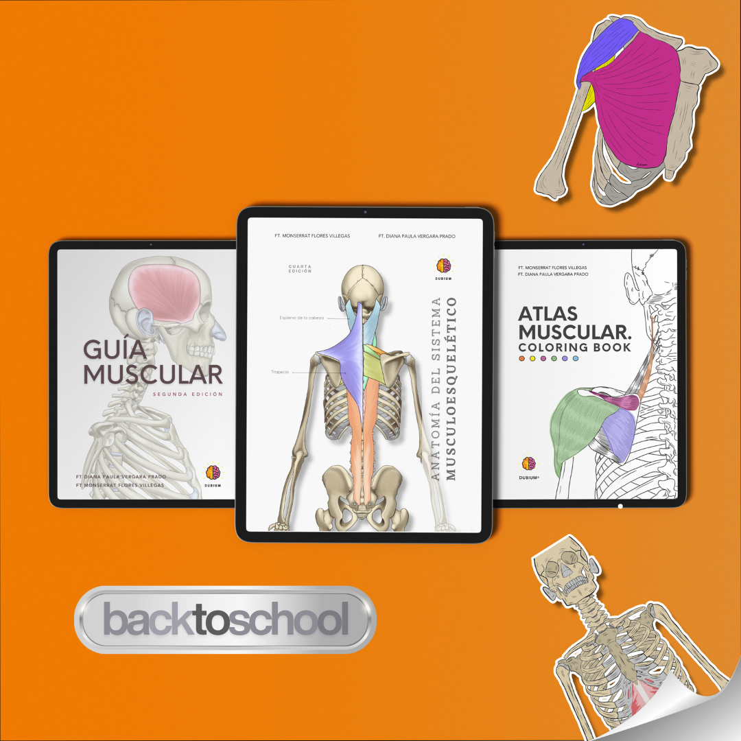 Kit Experto en Músculos