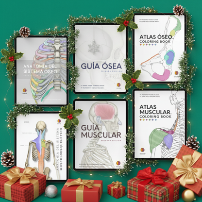 Kit de Anatomía