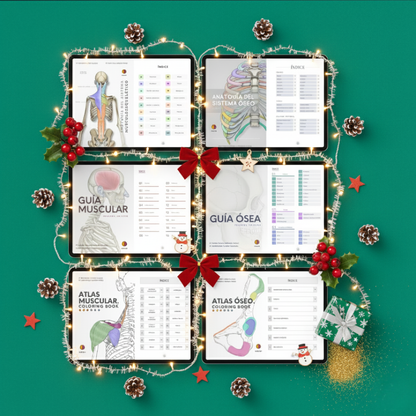Kit de Anatomía