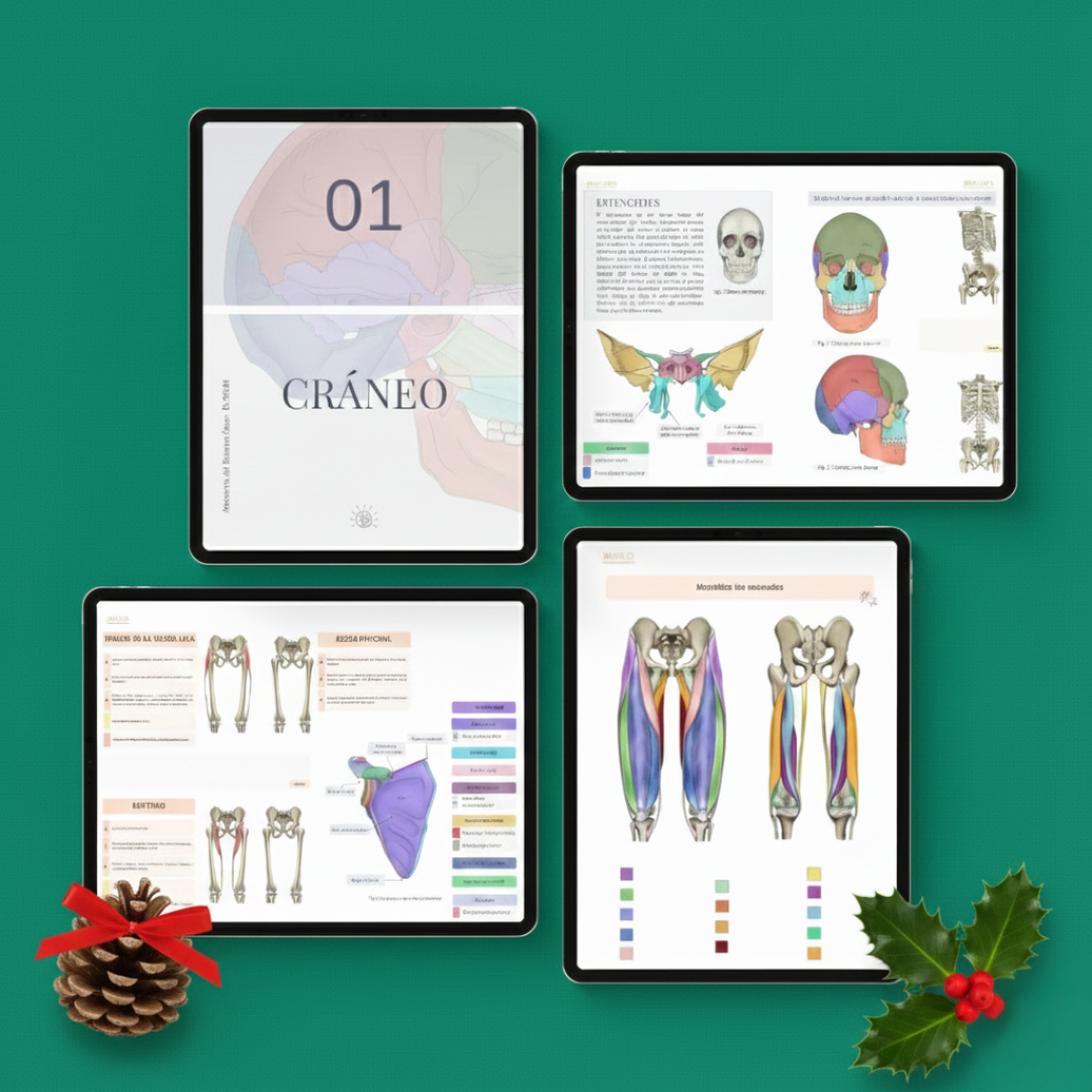 Anatomía del Sistema Óseo