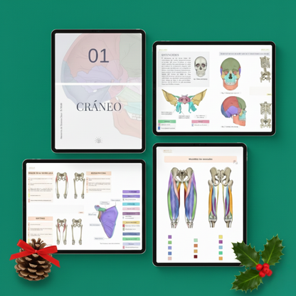 Anatomía del Sistema Óseo