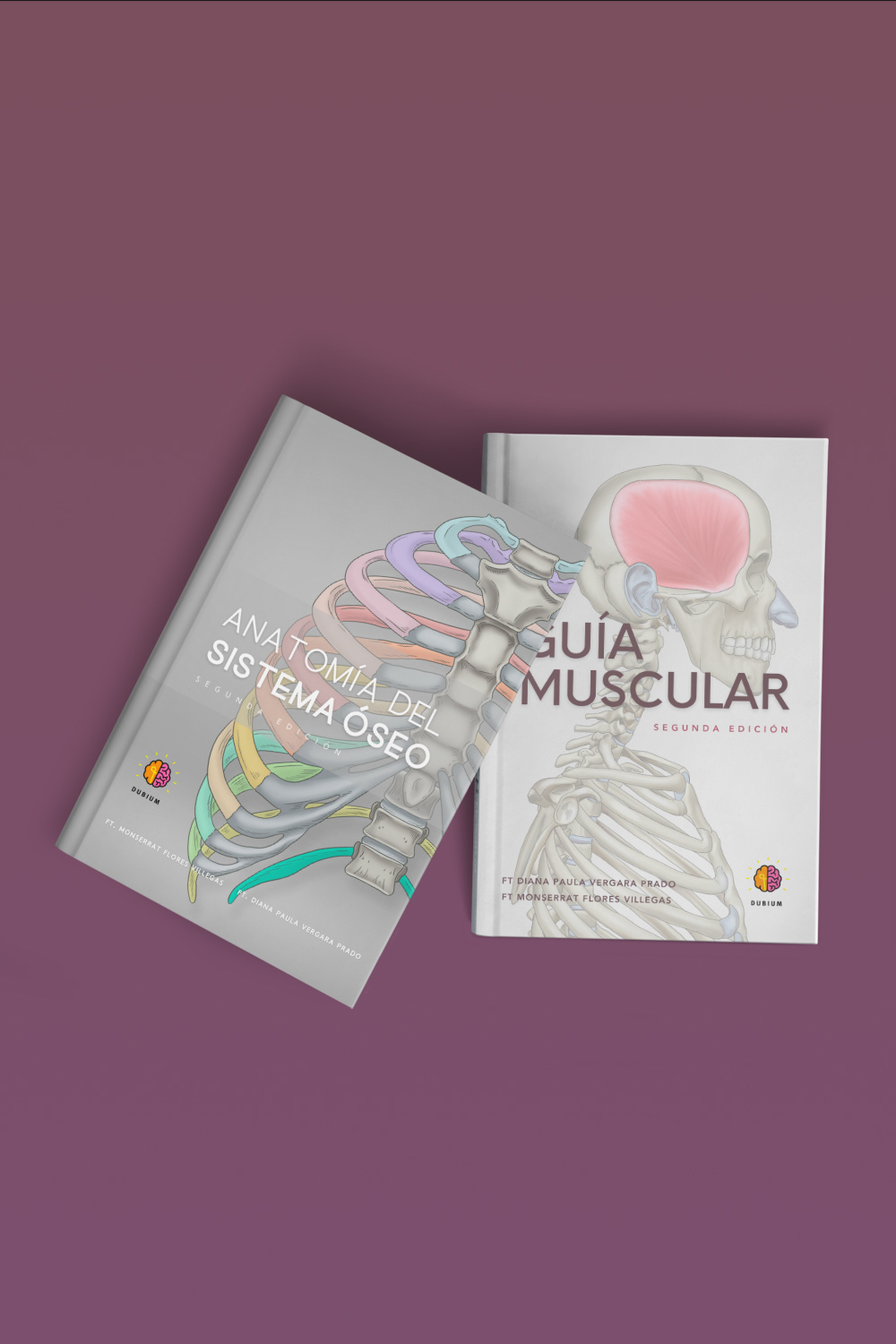 Manuales de Anatomía, Manual de Anatomía del Sistema Óseo, Guía Muscular