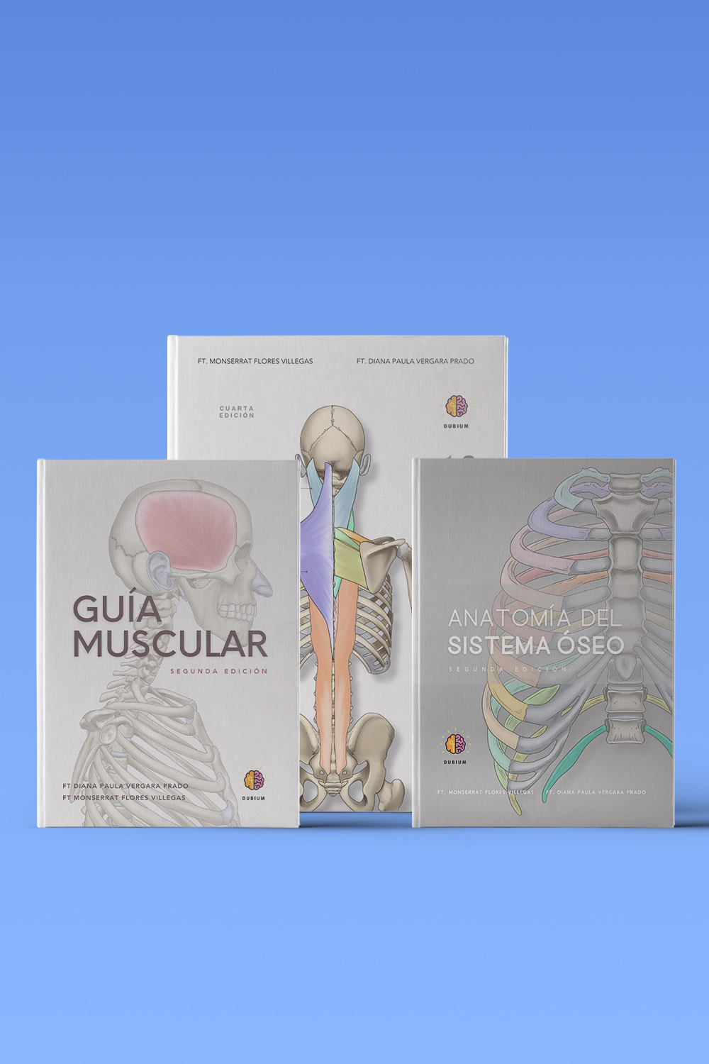 Manuales de Anatomía, Manual de Anatomía del Sistema Musculoesquelético, Manual de Anatomía del Sistema Óseo, Guía Muscular