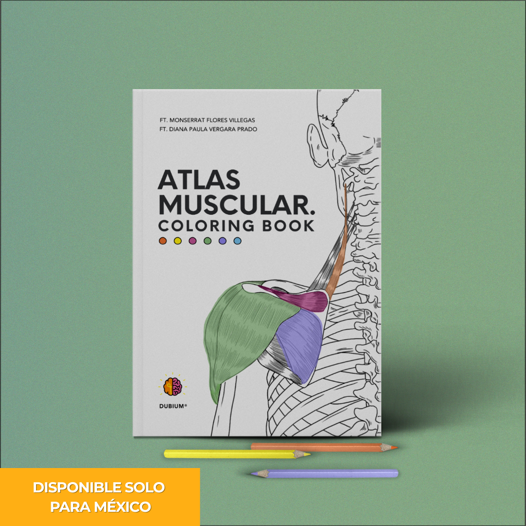 Libro Atlas Muscular Coloring Book