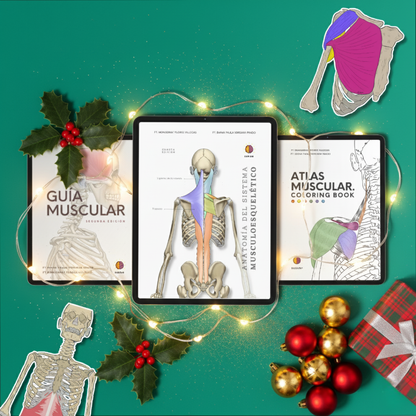 Kit Experto en Músculos