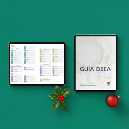Guía Ósea
