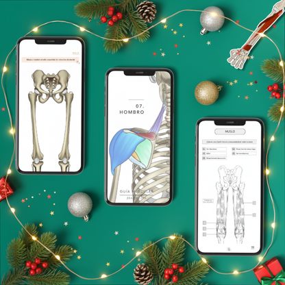 Kit Experto en Músculos