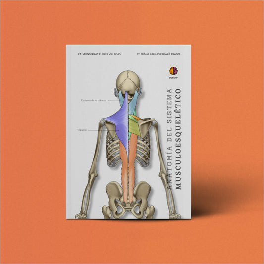 Anatomía del Sistema Musculoesquelético