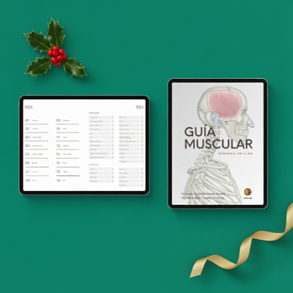 Guía Muscular
