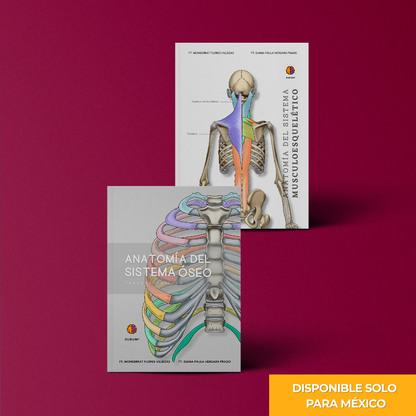 Anatomy Combo Físico