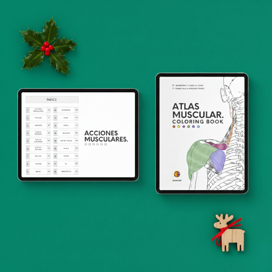 Atlas Muscular Coloring Book