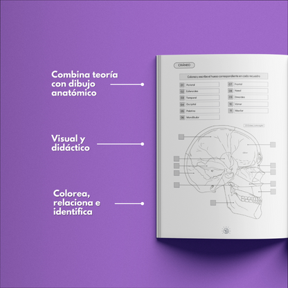 Atlas Óseo Coloring Book