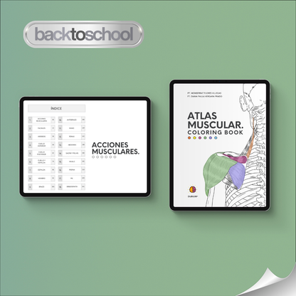 Atlas Muscular Coloring Book