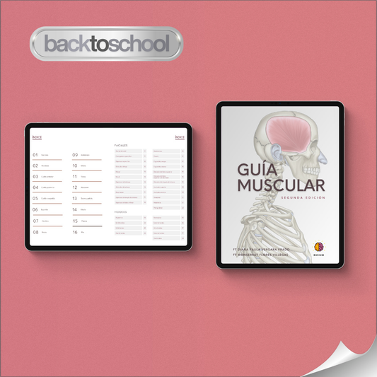 Guía Muscular