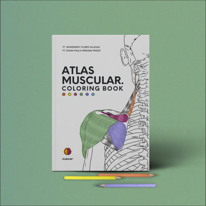 Atlas Muscular Coloring Book