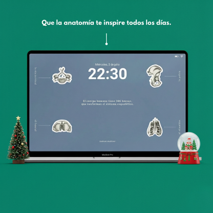 Anatomy Wallpaper Pack