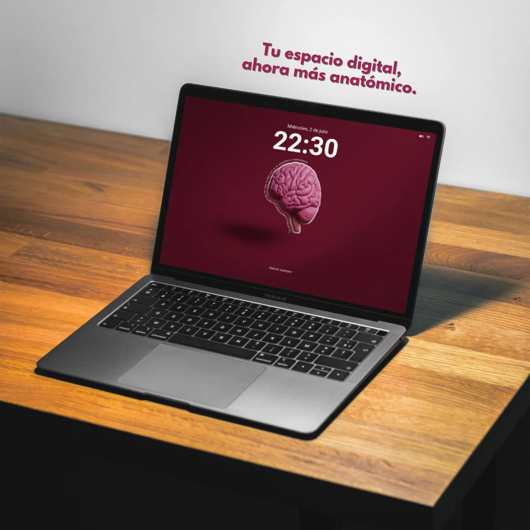 Anatomy Wallpaper Pack
