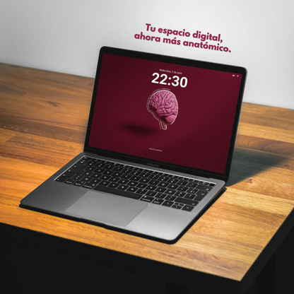 Anatomy Wallpaper Pack