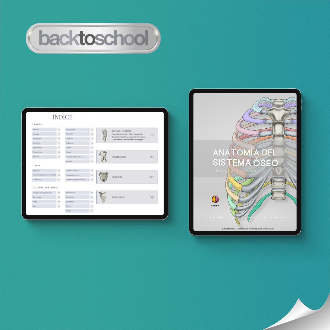 Anatomía del Sistema Óseo