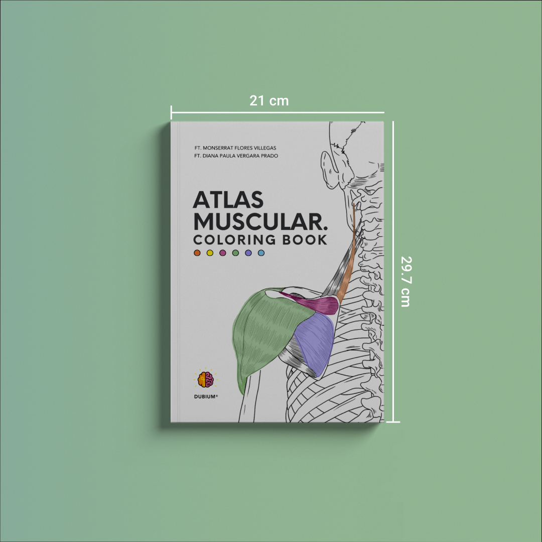 Atlas Muscular Coloring Book