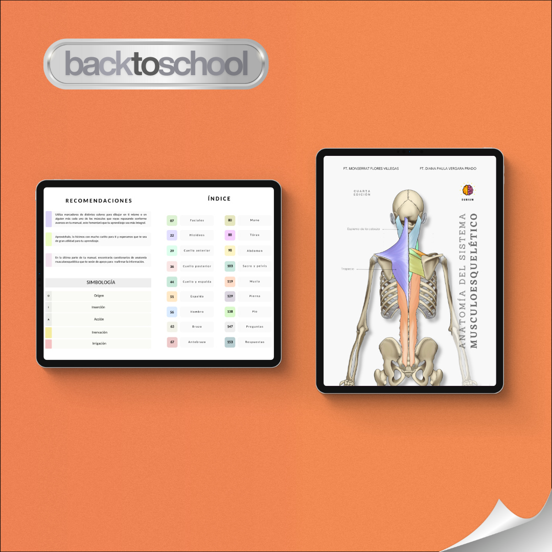 Anatomía del Sistema Musculoesquelético