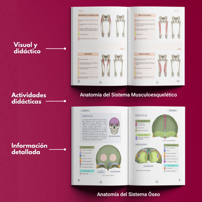 Anatomy Combo Físico
